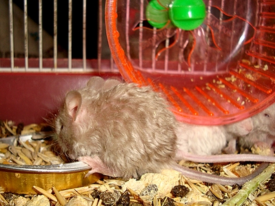 1274 X 956 909.6 Kb 1804 X 1263 258.2 Kb 871 X 653 529.9 Kb - -  