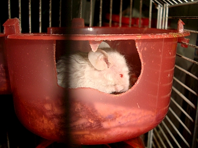 1320 X 990 805.2 Kb 1920 X 1440 373.2 Kb 1274 X 956 909.6 Kb 1804 X 1263 258.2 Kb 871 X 653 529.9 Kb - -  