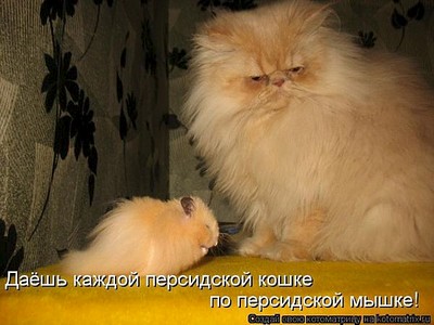 600 X 450 58.9 Kb 700 X 560 65.4 Kb 600 X 449 92.6 Kb Улыбнемся?