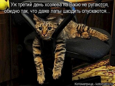 600 X 450 70.0 Kb 700 X 525 85.0 Kb Улыбнемся?