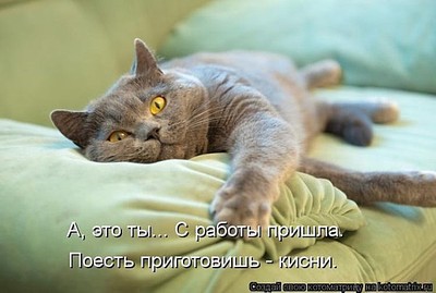 600 X 404 48.1 Kb 600 X 450 70.0 Kb 700 X 525 85.0 Kb Улыбнемся?