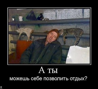 530 X 480 34.1 Kb Улыбнемся?