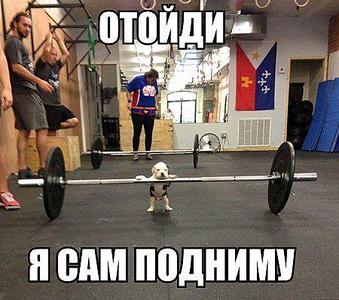 450 X 398 39.8 Kb 600 X 563 120.9 Kb 600 X 450 72.1 Kb 800 X 531 73.8 Kb 530 X 480 34.1 Kb Улыбнемся?