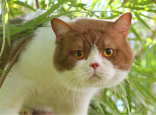 1585 X 1170 428.0 Kb   