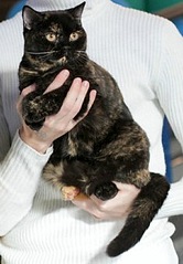 226 X 326 24.8 Kb 1585 X 1170 428.0 Kb   