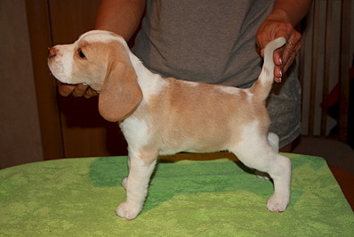 1920 X 1281 492.8 Kb -, !  'Prime Pride'