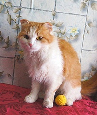 502 X 600 117.5 Kb 533 X 800 92.1 Kb 533 X 800 103.9 Kb 615 X 800 95.5 Kb -  