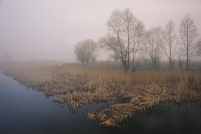 975 X 650 553.3 Kb 518 X 700 223.2 Kb 1050 X 700 267.4 Kb  02.05.14