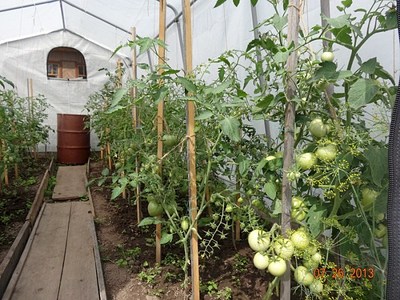 700 X 525 171.2 Kb 700 X 525 147.4 Kb 700 X 525 163.5 Kb 700 X 522  98.0 Kb     made in USA ()