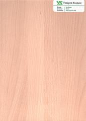 1232 X 1728 252.6 Kb 1744 X 2528 752.0 Kb 1744 X 2528 955.1 Kb  ,  +  