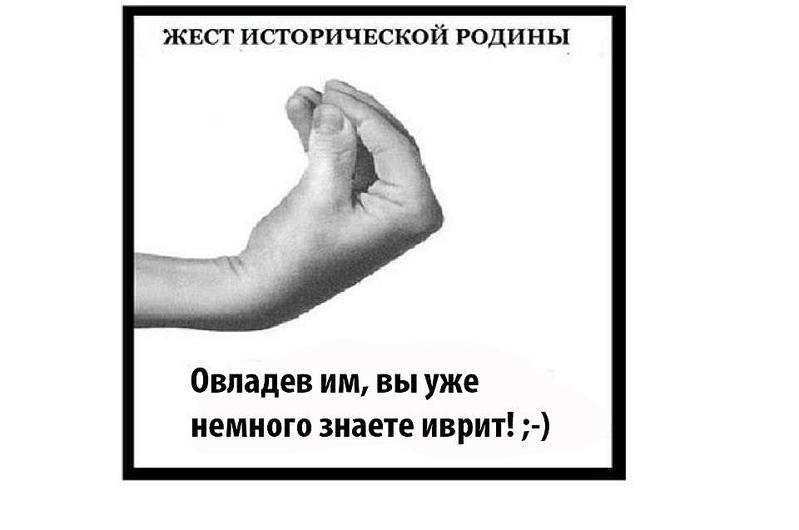 960 X 637 33.1 Kb  | | |      