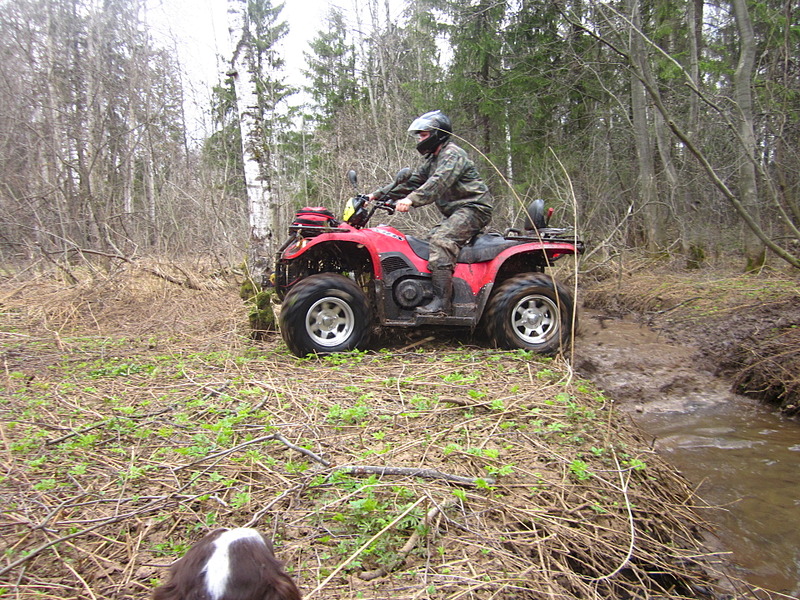 1920 X 1440 466.8 Kb 1920 X 1440 868.4 Kb   STELS 500 GT