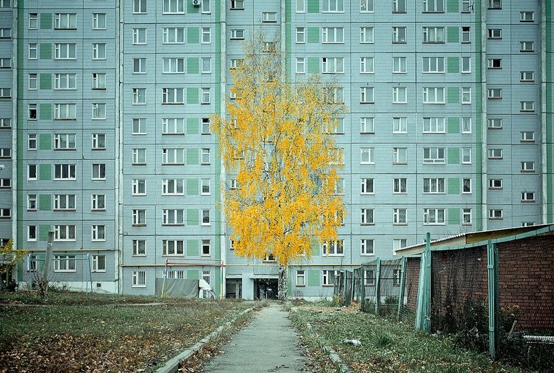 1280 X 863 538.7 Kb     .
