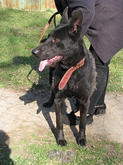 1920 X 2560 617.6 Kb  (  )   