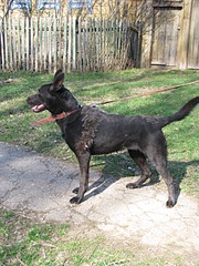 1920 X 2560 597.6 Kb 1920 X 2560 617.6 Kb  (  )   