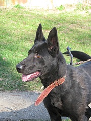 1920 X 2560 1002.5 Kb 1920 X 2560 597.6 Kb 1920 X 2560 617.6 Kb  (  )   