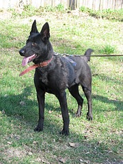 1920 X 2560 704.0 Kb 1920 X 2560 1002.5 Kb 1920 X 2560 597.6 Kb 1920 X 2560 617.6 Kb  (  )   