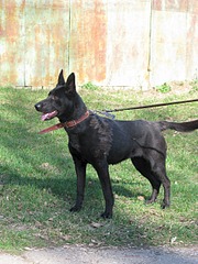 1920 X 2560 542.7 Kb 1920 X 2560 704.0 Kb 1920 X 2560 1002.5 Kb 1920 X 2560 597.6 Kb 1920 X 2560 617.6 Kb  (  )   