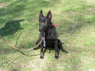 1920 X 1440 562.2 Kb  (  )   