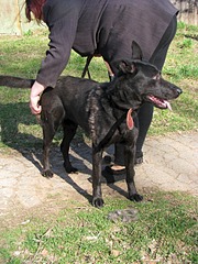 1920 X 2560 620.0 Kb 1920 X 2560 433.1 Kb 1920 X 1440 562.2 Kb  (  )   