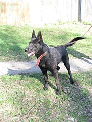 1920 X 2560 553.8 Kb 1920 X 2560 561.8 Kb 1920 X 2560 620.0 Kb 1920 X 2560 433.1 Kb 1920 X 1440 562.2 Kb  (  )   