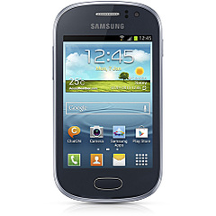 500 X 500 55.7 Kb Samsung Galaxy Fame S6810(  ) 
