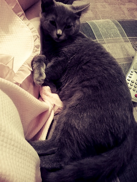 768 X 1024 334.8 Kb 768 X 1024 350.8 Kb  