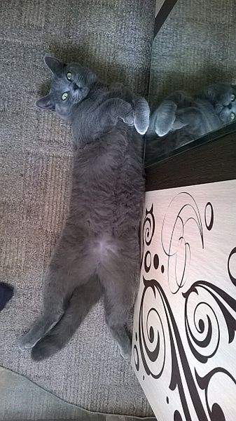 1456 X 2592 385.8 Kb 768 X 1024 334.8 Kb 768 X 1024 350.8 Kb  