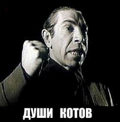 468 X 475 60.4 Kb 800 X 550 96.3 Kb 501 X 800 93.7 Kb Слава Украине от Ляписа