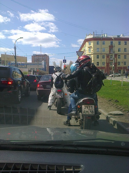 1536 X 2048 760.8 Kb выкрашенные белым дерьмом поребрики!