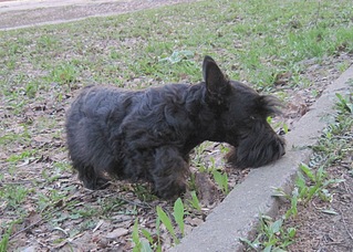 1920 X 1369 825.8 Kb    