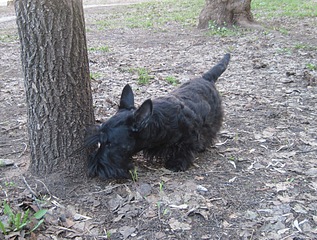 1920 X 1449 432.4 Kb 1920 X 1369 825.8 Kb    