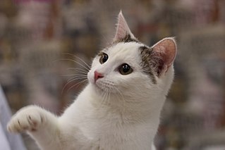 1280 X 853  86.6 Kb 1280 X 853  74.9 Kb    