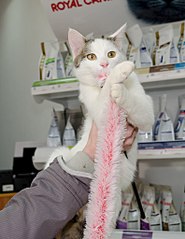 792 X 1024 127.8 Kb 1280 X 853  86.6 Kb 1280 X 853  74.9 Kb    