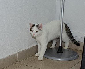 1267 X 1024 178.5 Kb 792 X 1024 127.8 Kb 1280 X 853  86.6 Kb 1280 X 853  74.9 Kb    