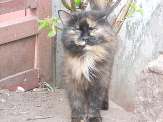 1000 X 750 306.6 Kb 1000 X 750 290.1 Kb 1000 X 750 302.1 Kb -