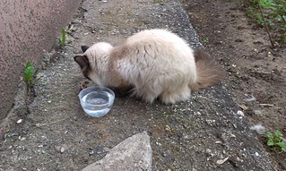 1920 X 1148 788.1 Kb -    - !