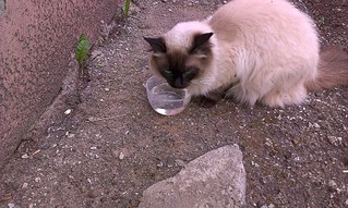 1920 X 1148 545.7 Kb 1920 X 1148 788.1 Kb -    - !