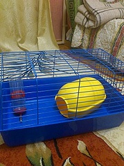 245 X 327 42.8 Kb 245 X 327 47.7 Kb  