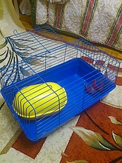 245 X 327 50.9 Kb 245 X 327 42.8 Kb 245 X 327 47.7 Kb  