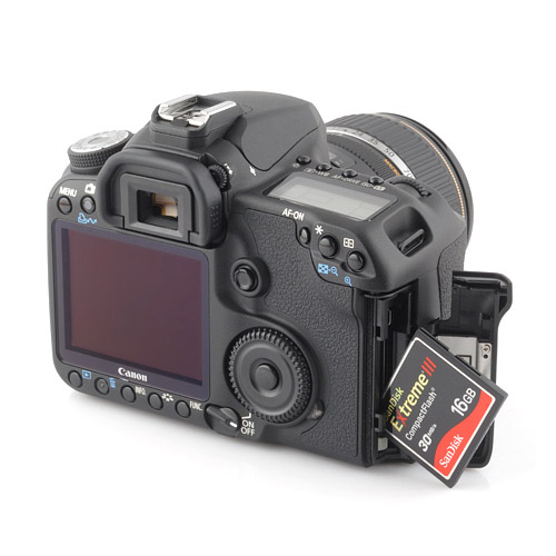 500 x 500   - canon 50d + canon ef-s 17-55mm f/2.8 is usm +  , 55 ..