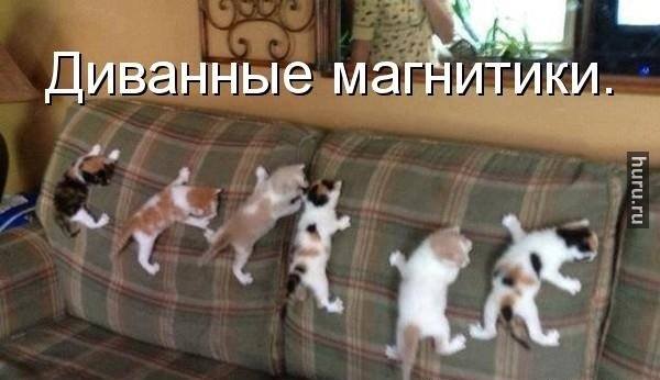 600 x 346 Улыбнемся?