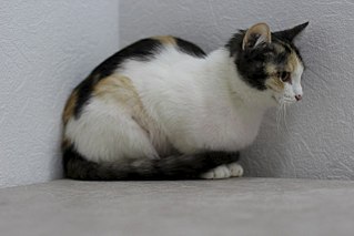 1280 X 853  96.9 Kb   6   !