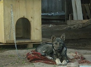 452 X 331 41.6 Kb 404 X 345 42.6 Kb    