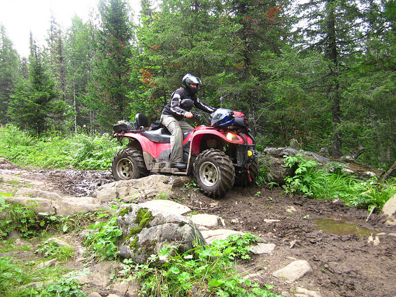 1920 X 1440 733.3 Kb   STELS 500 GT