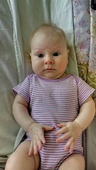 1838 X 3262 918.8 Kb Домик малышей 2014 и их родителей