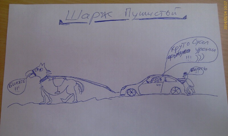 800 x 479 WOOMEN 