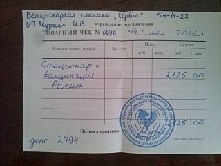 1280 X 960 164.6 Kb Прошу помощи на оплату передержки Рыжика и Кнопки