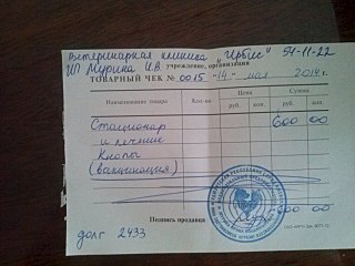 1280 X 960 166.5 Kb 1280 X 960 164.6 Kb Прошу помощи на оплату передержки Рыжика и Кнопки