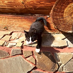 1920 X 1925 554.2 Kb   !